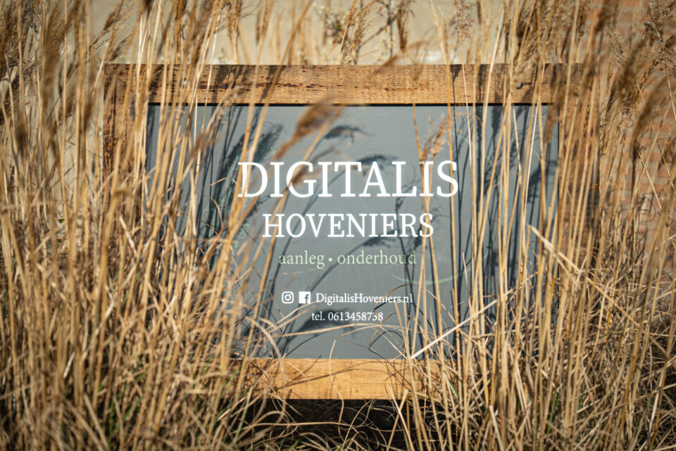 Digitalis Hoveniers