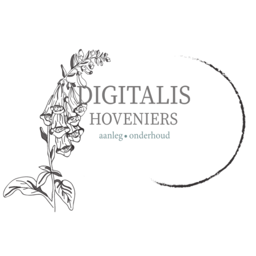 Digitalis Hoveniers